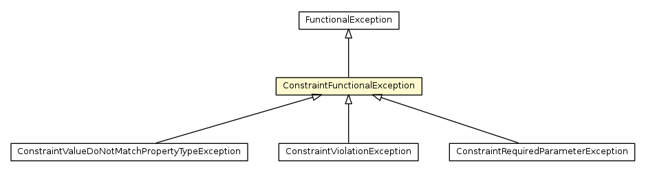 Package class diagram package ConstraintFunctionalException